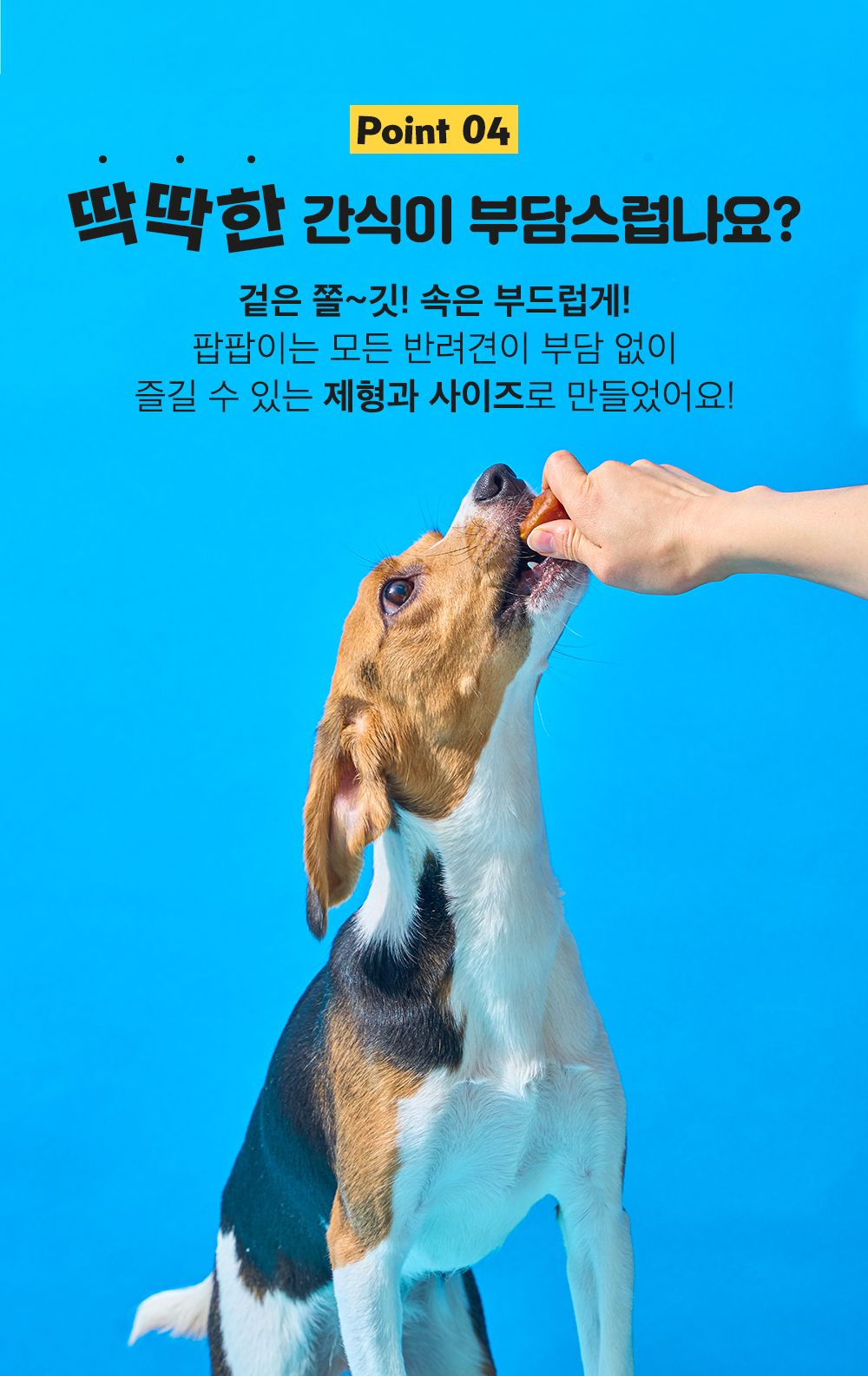 [무료배송] 개님의상점 개님의과자 팝팝이 덕(오리)팝 120g 19번째