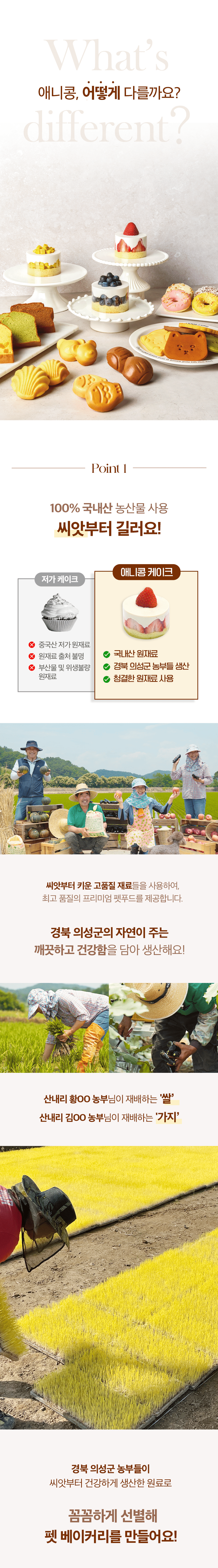 [NEW신상][무료배송] 애니콩 독 블루베리 케이크 6번째