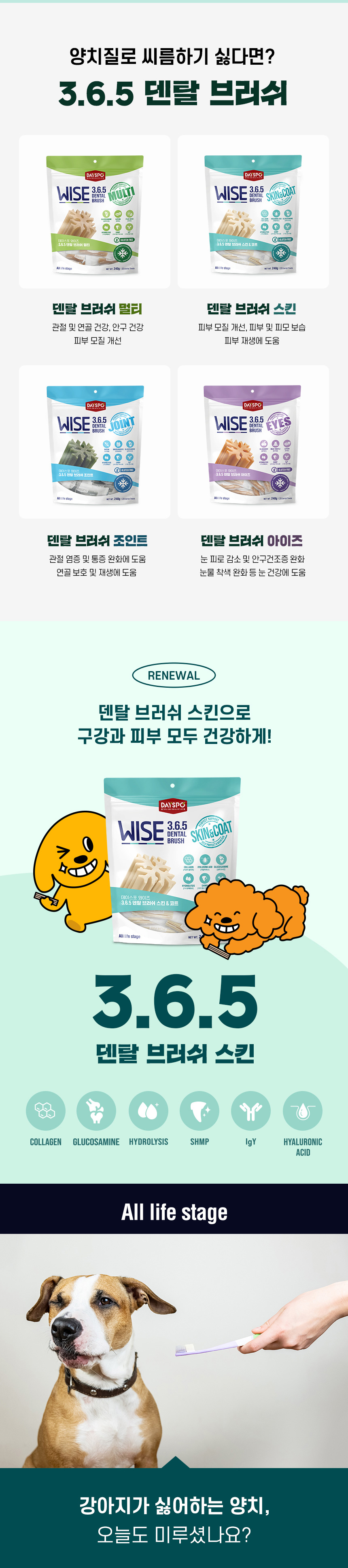 [NEW신상][무료배송] 데이스포 독 와이즈 3.6.5 덴탈케어 브러쉬 피부건강 240g 20개입 5번째