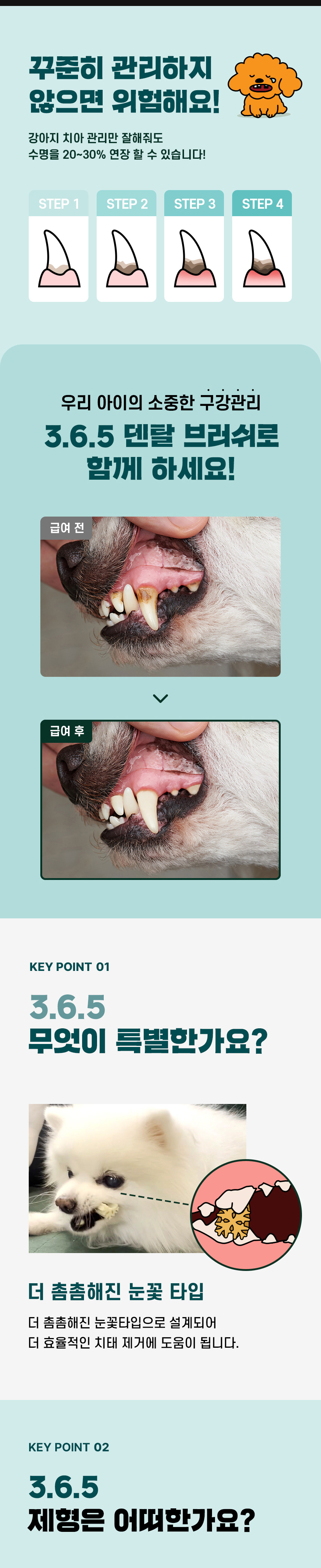 [NEW신상][무료배송] 데이스포 독 와이즈 3.6.5 덴탈케어 브러쉬 피부건강 240g 20개입 7번째