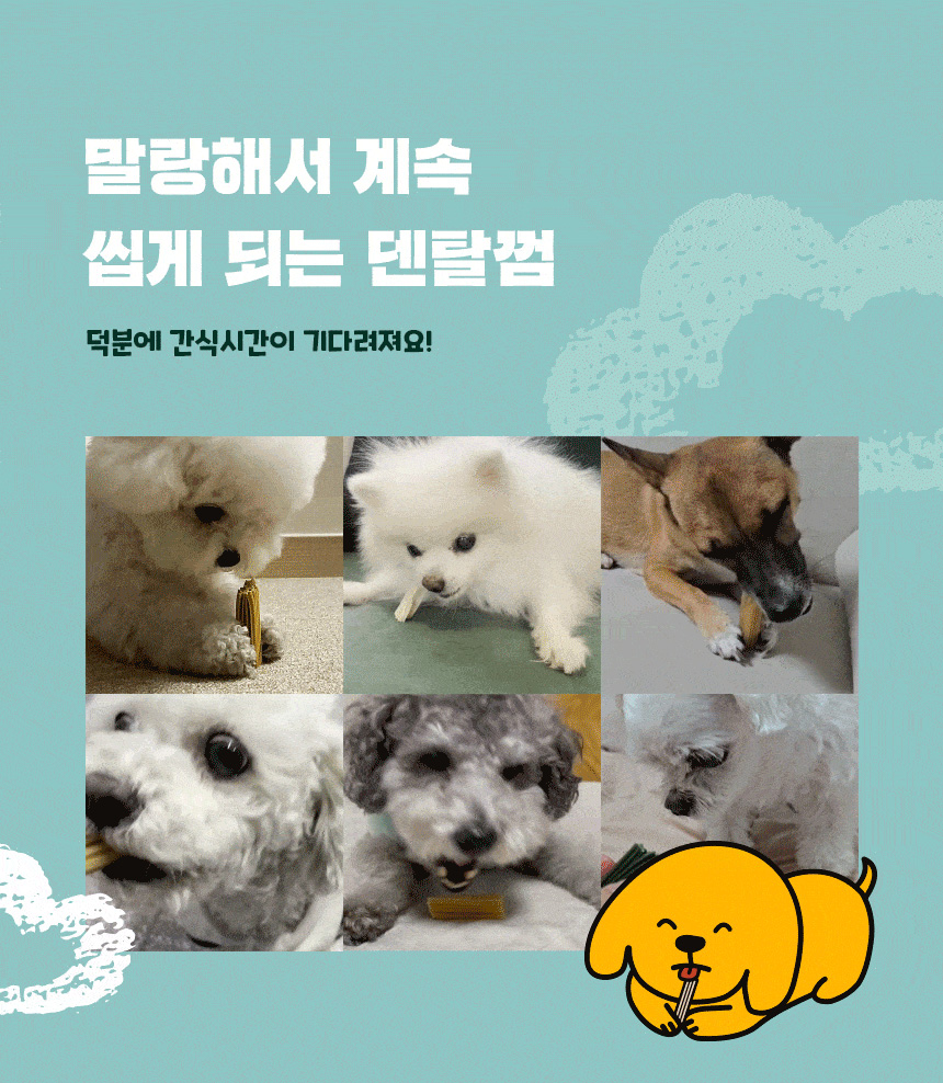 [NEW신상][무료배송] 데이스포 독 와이즈 3.6.5 덴탈케어 브러쉬 피부건강 240g 20개입 3번째
