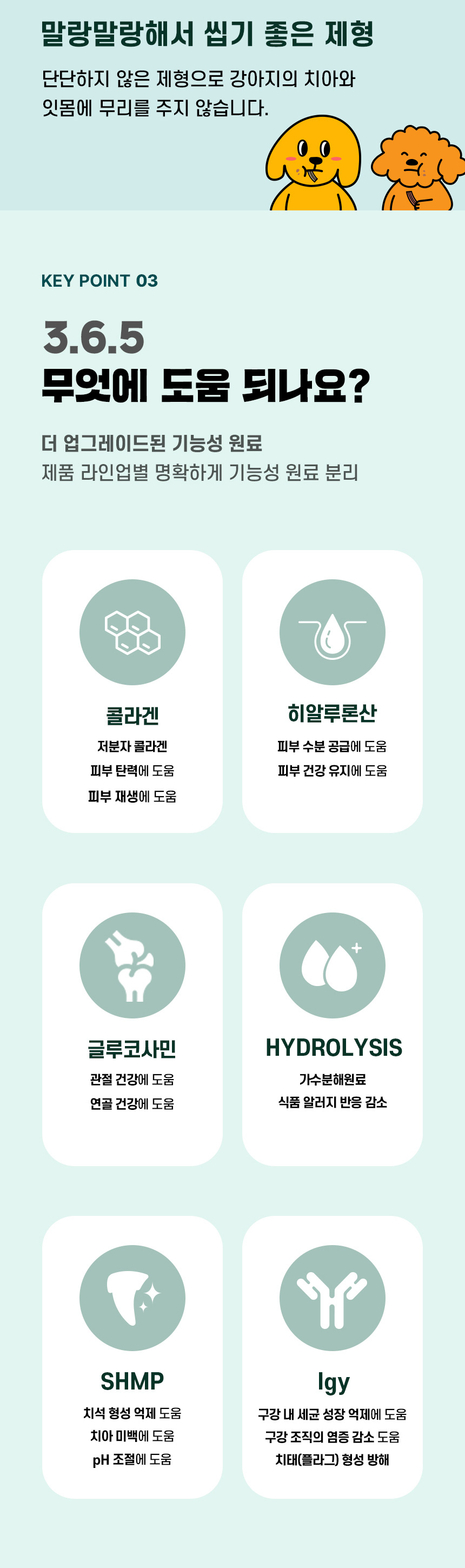 [NEW신상][무료배송] 데이스포 독 와이즈 3.6.5 덴탈케어 브러쉬 피부건강 240g 20개입 9번째
