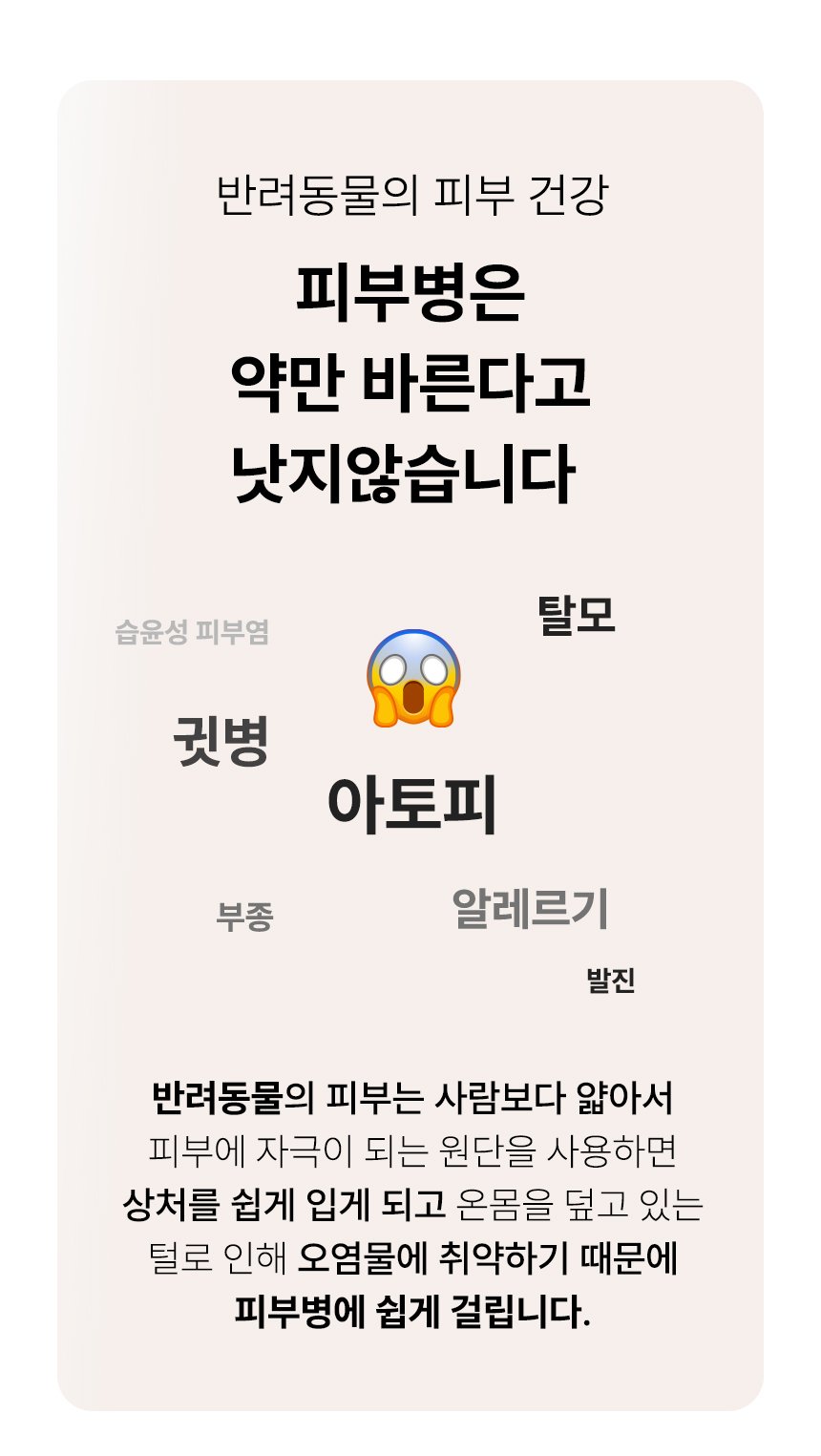 [무료배송] 초코펫하우스 로얄사각방석 2.0 일반형/프리미엄 7번째