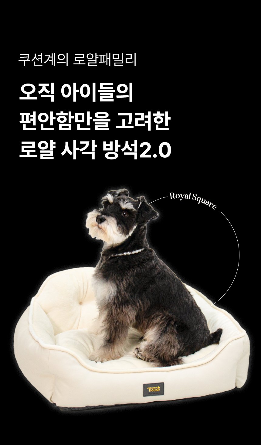 [무료배송] 초코펫하우스 로얄사각방석 2.0 일반형/프리미엄 2번째