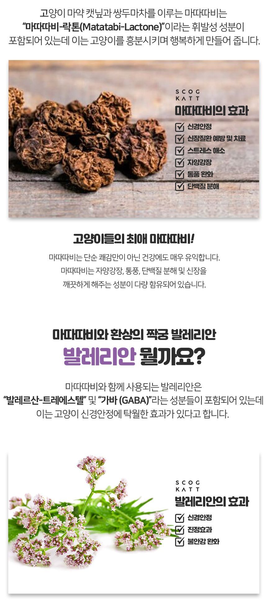 스코캇 마따따비 비눗방울 8번째