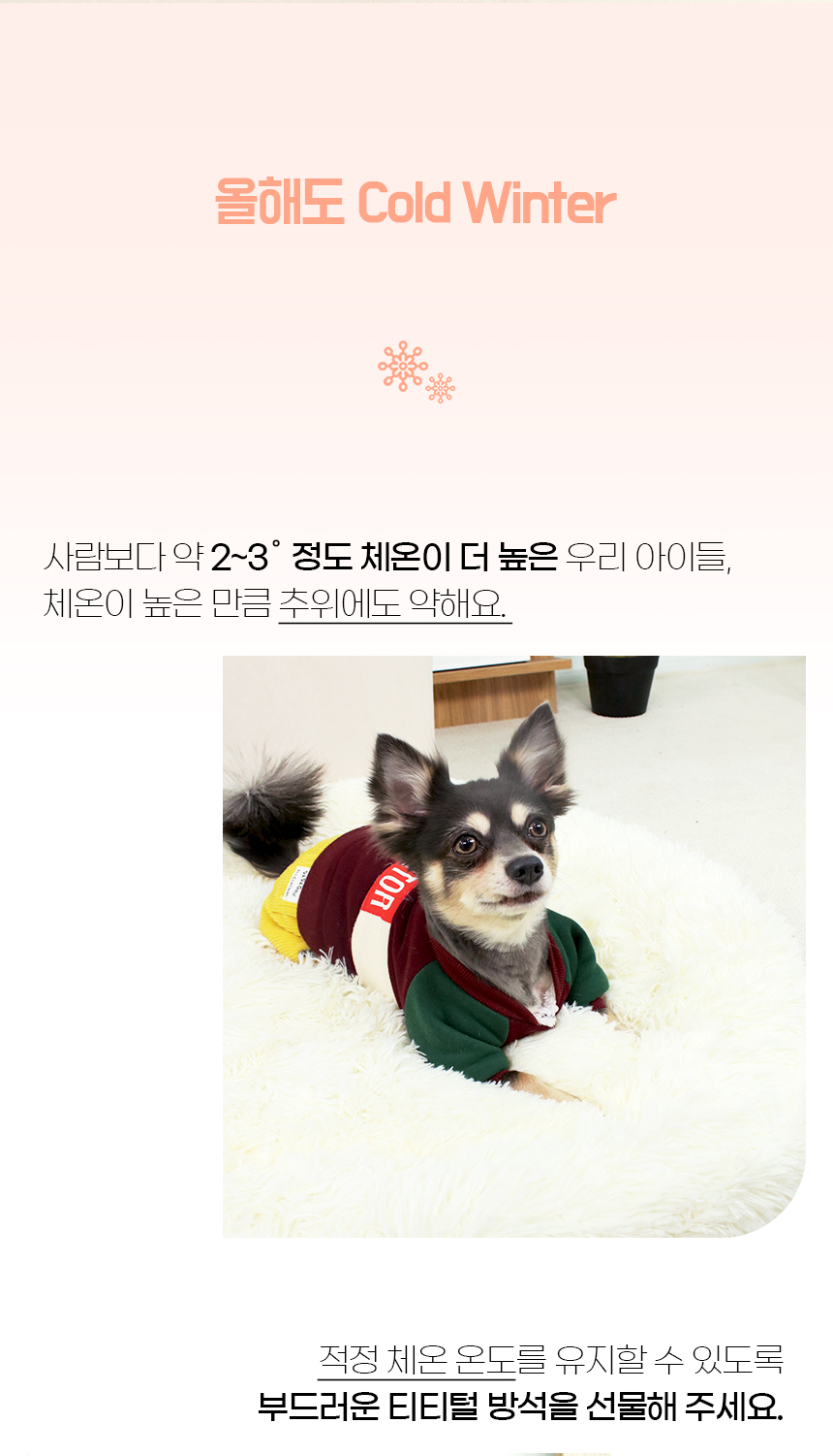 [NEW신상][무료배송] 개과천선 토토 털 방석 (핑크/아이보리) 2번째