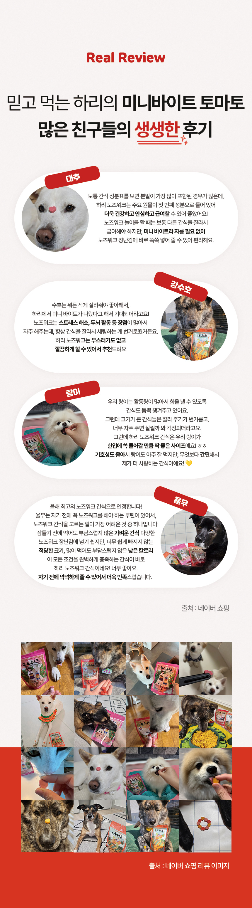 [NEW신상][무료배송] 하리 독 미니바이트 노즈워크 간식 토마토 150g 4번째