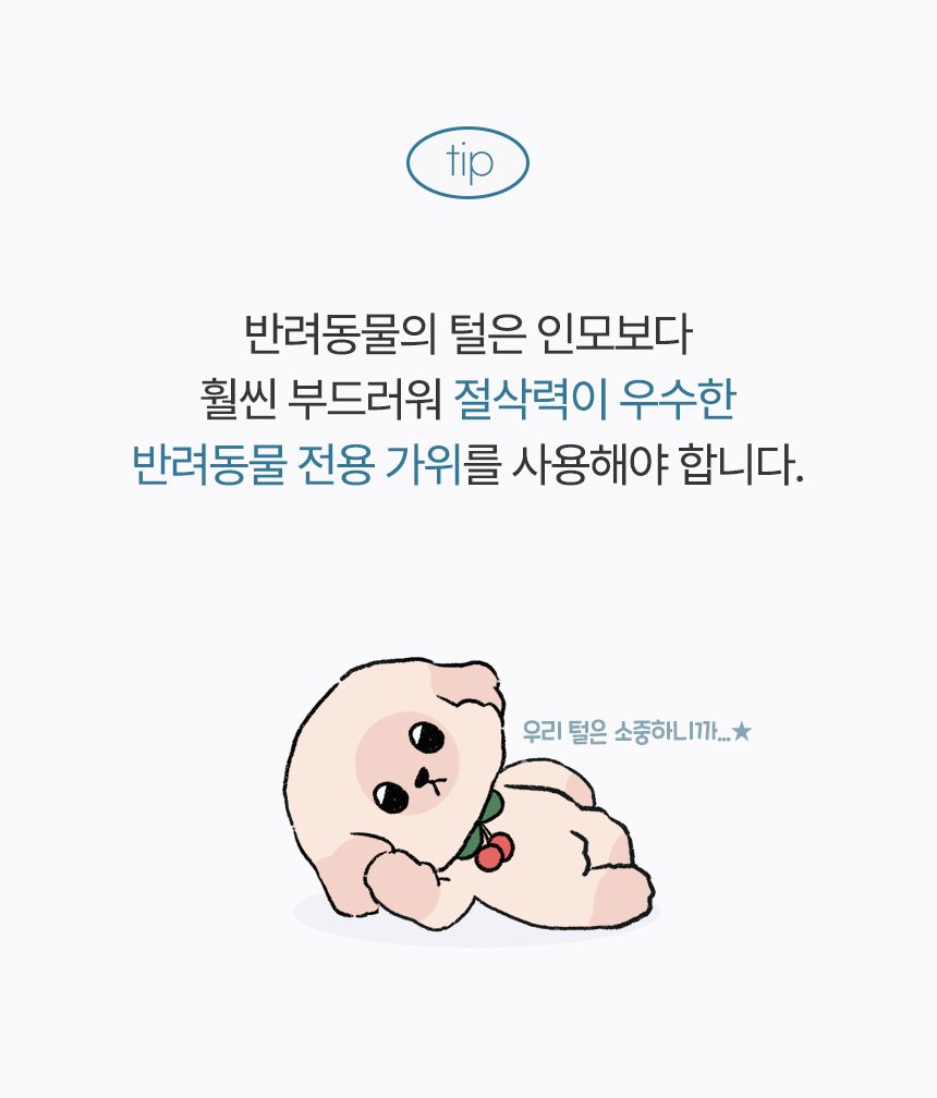 [무료배송] 닉센 독 7인치 일자가위 13번째