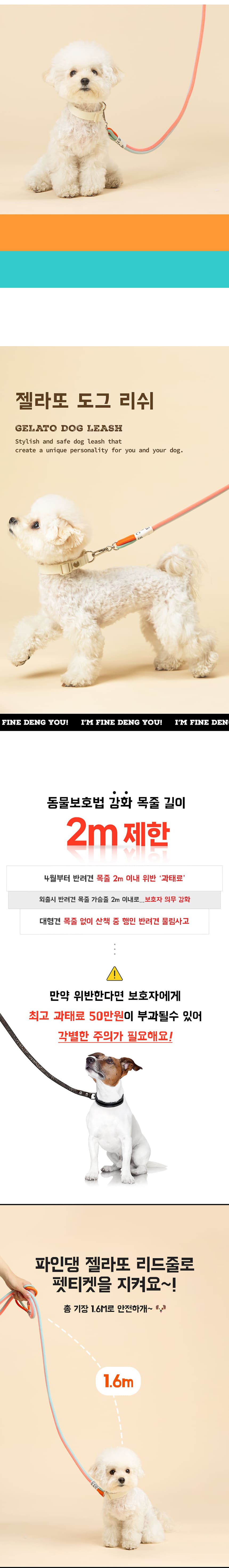 [NEW신상][무료배송] 파인댕 강아지 리드줄 젤라또 리쉬 투톤 산책줄 2번째