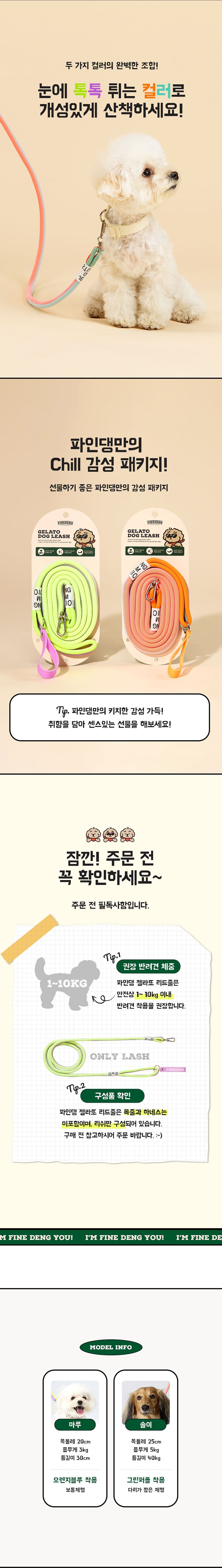 [무료배송] 파인댕 강아지 리드줄 젤라또 리쉬 투톤 산책줄 5번째