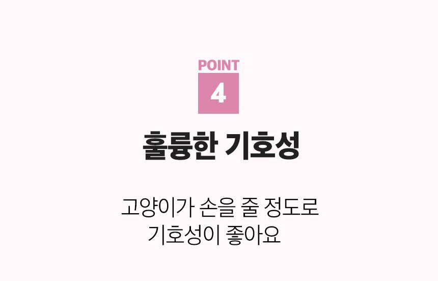 3651 바이츠 동결건조 닭가슴살 500g  4번째