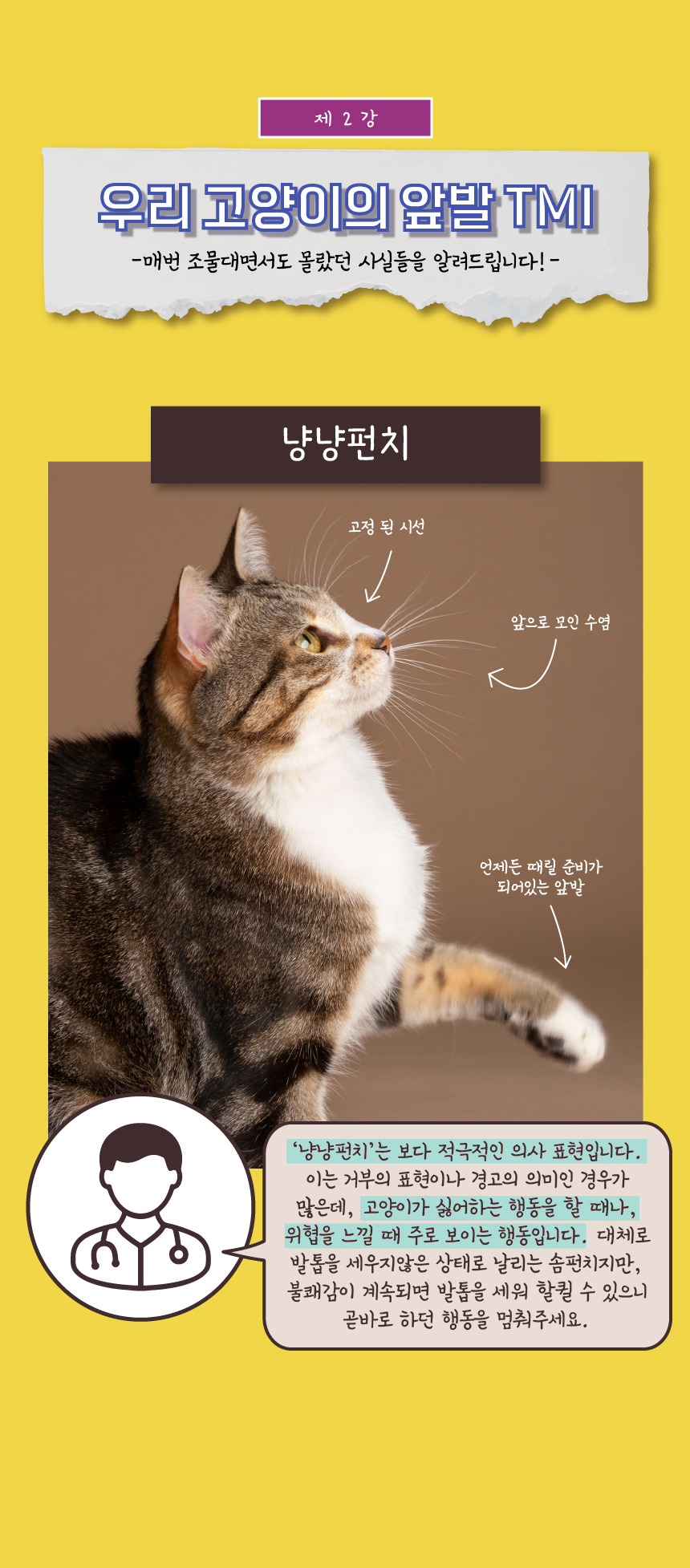 [무료배송] 애구애구 사냥놀이 팝업토이 스크래쳐 8번째