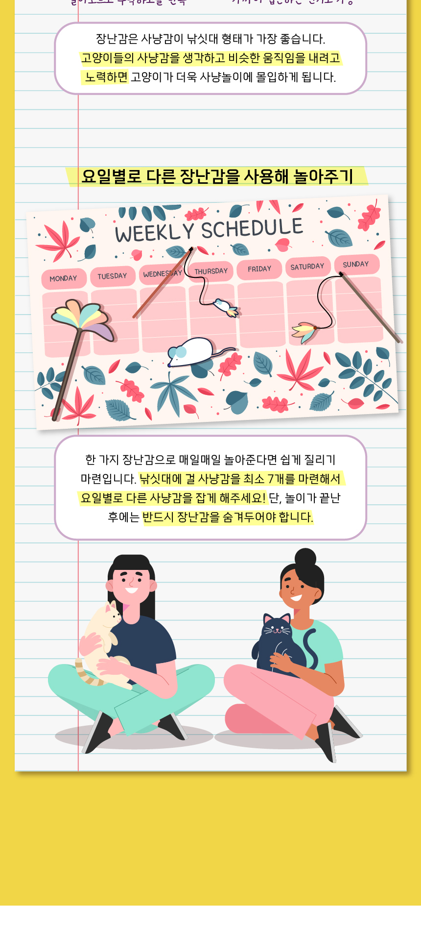 [무료배송] 애구애구 사냥놀이 팝업토이 스크래쳐 16번째