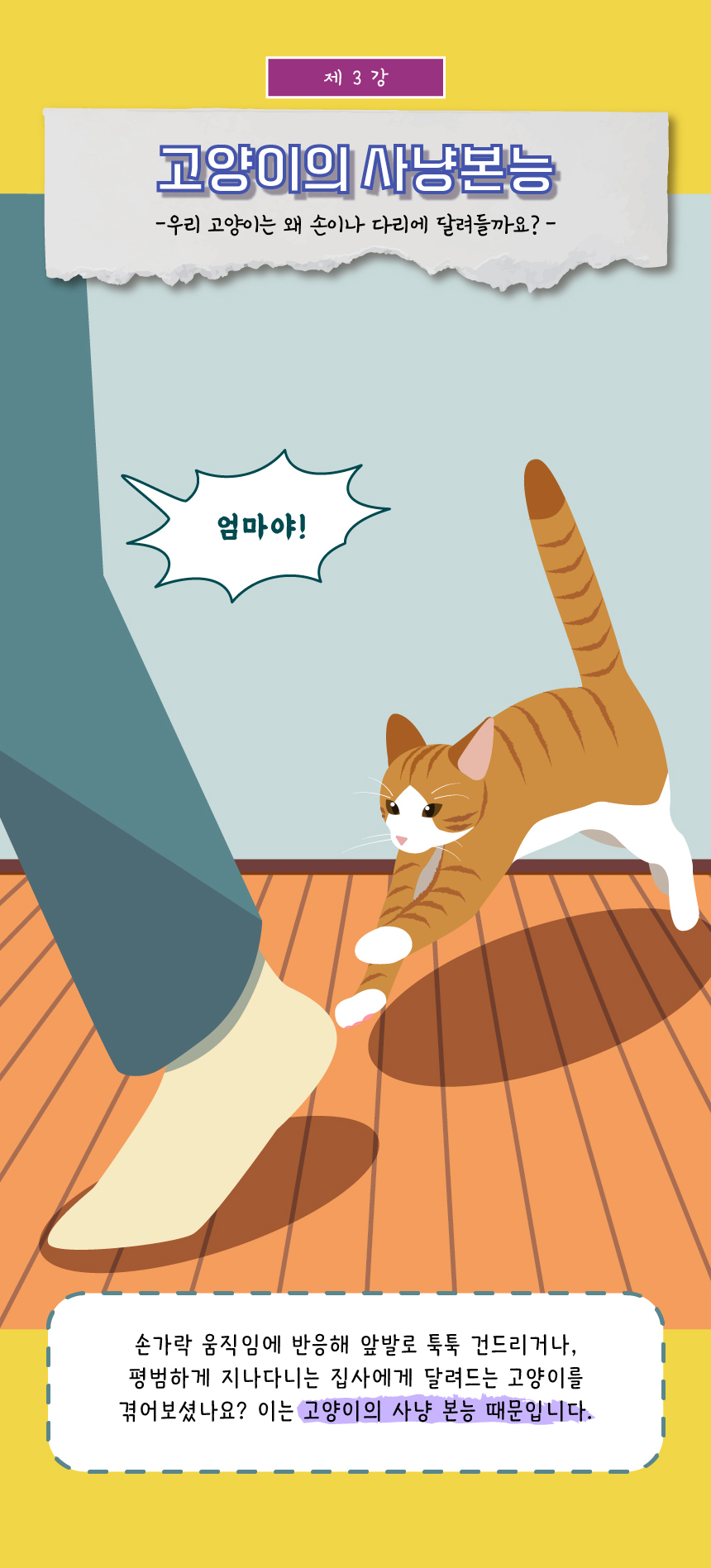 [무료배송] 애구애구 사냥놀이 팝업토이 스크래쳐 12번째