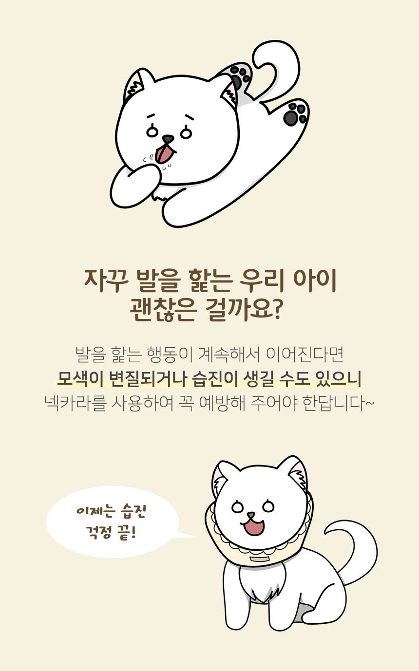 [무료배송] 초코펫하우스 오가닉 넥카라 S-L 3번째