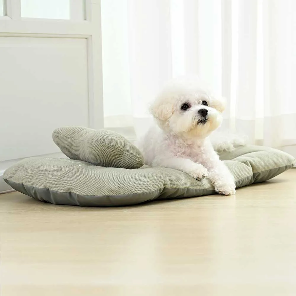 [무료배송] 폼포라펫 니트 대형견 쿠션