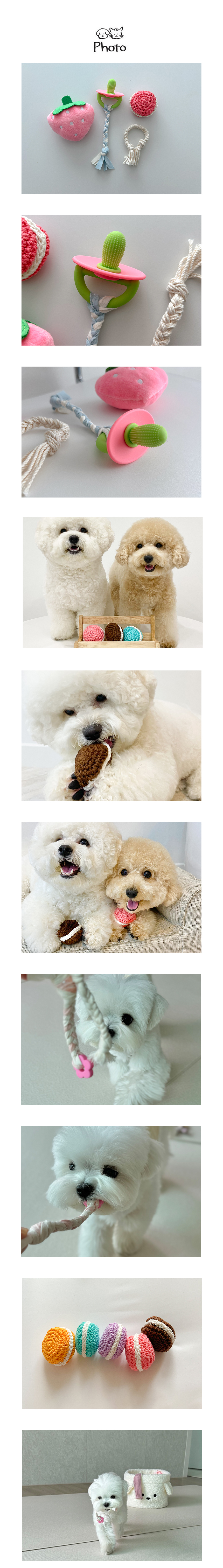 [NEW신상][무료배송] 개달당 소형견 베리베리 이갈이 삑삑 강아지 장난감 4종세트 2번째