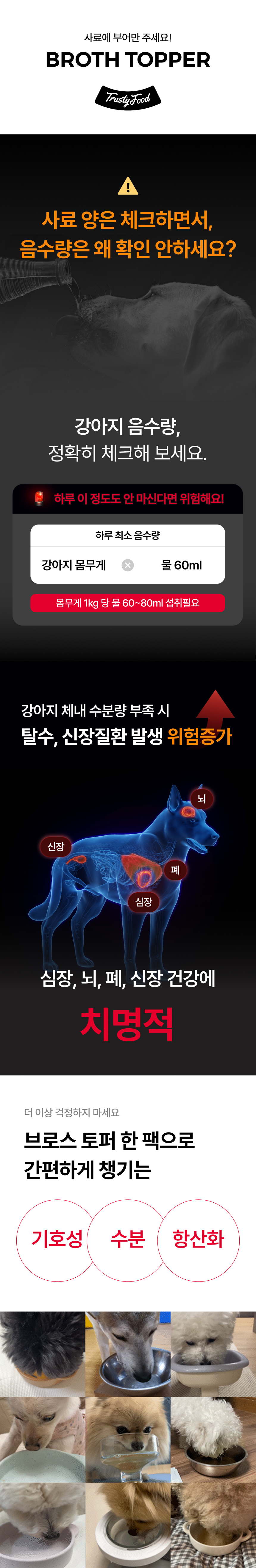 [무료배송] 트러스티푸드 브로스 토퍼 사료 육수 소 사골/황태 280ml 3번째