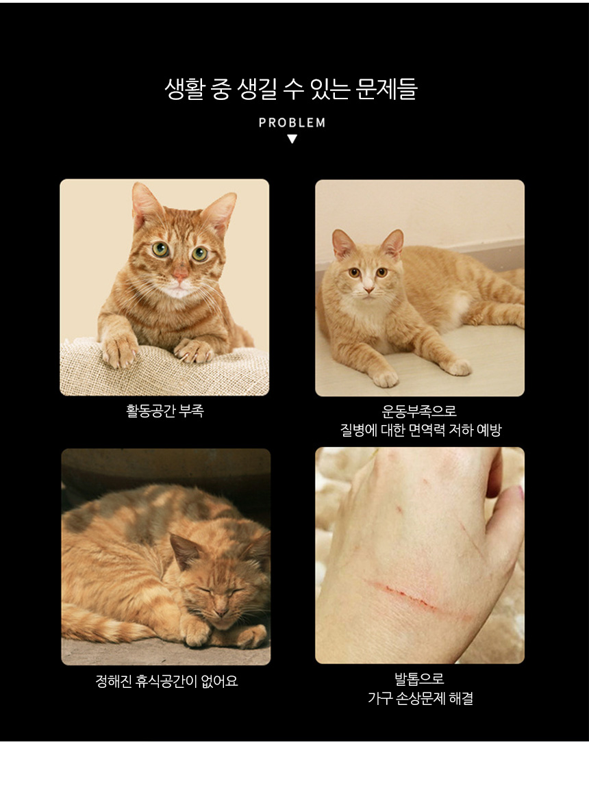 [무료배송] 아서아리 고양이 원목 수직 기둥 스크래쳐 4번째