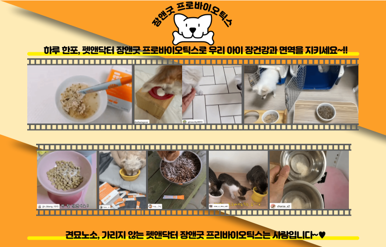 [무료배송] 펫앤닥터 장앤굿 프로바이오틱스 2g*30p 1번째