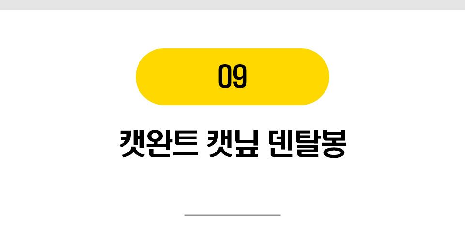  냥이 마약 캣닢/마따따비 20종 [모음] 17번째