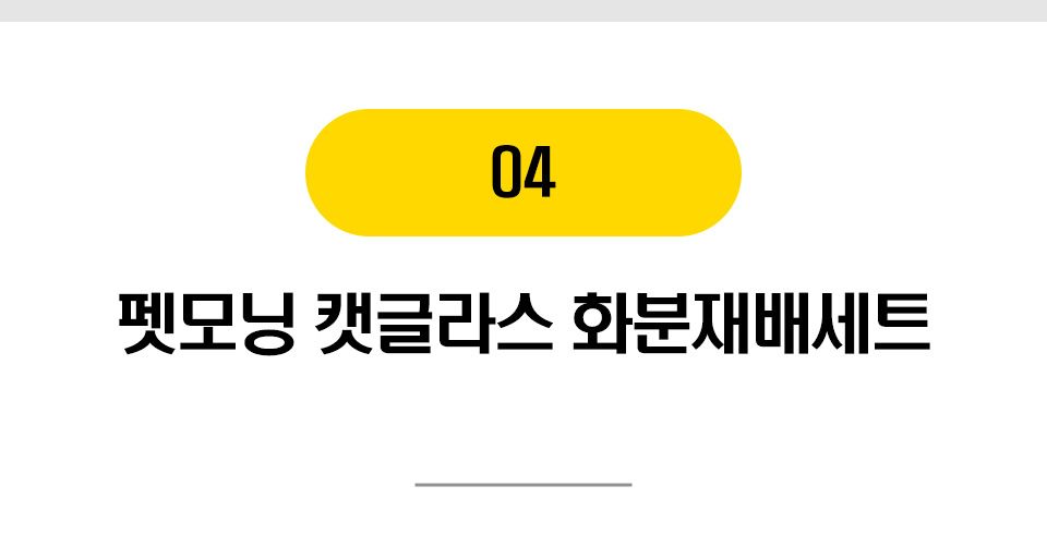  냥이 마약 캣닢/마따따비 20종 [모음] 7번째