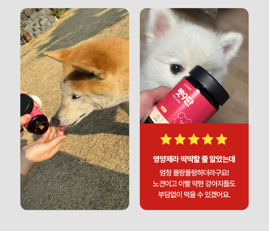 [NEW신상][무료배송] 목우촌 펫9단 독 브레스 기관지 영양제 100g 8번째