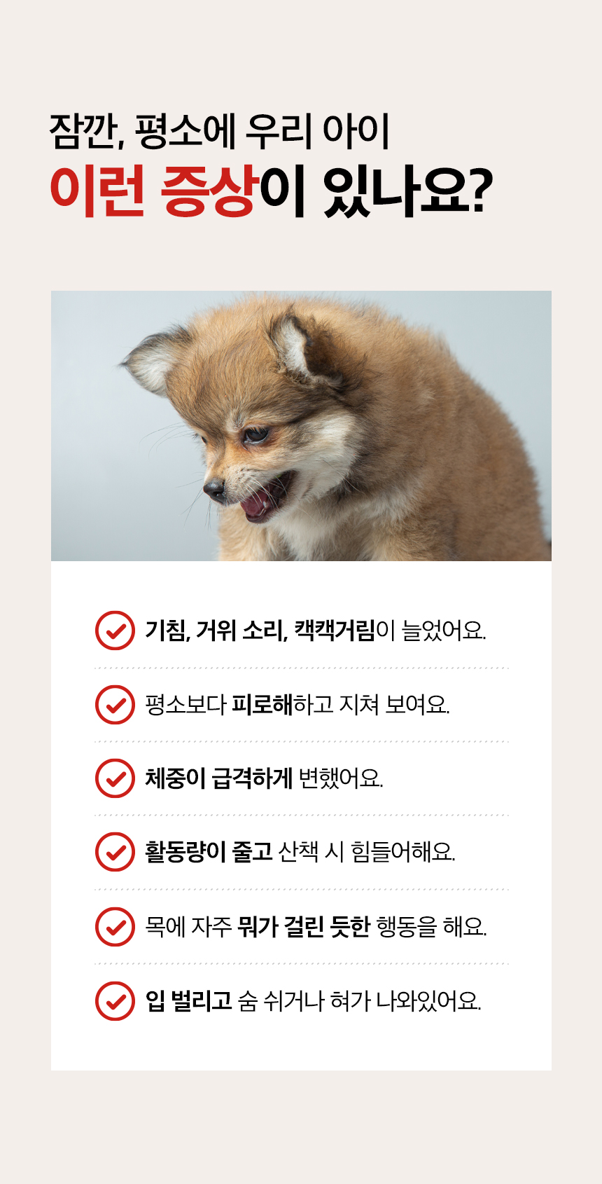 [무료배송] 목우촌 펫9단 독 브레스 기관지 영양제 100g 3번째