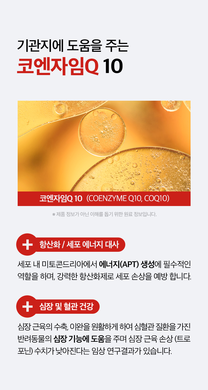 [무료배송] 목우촌 펫9단 독 브레스 기관지 영양제 100g 6번째