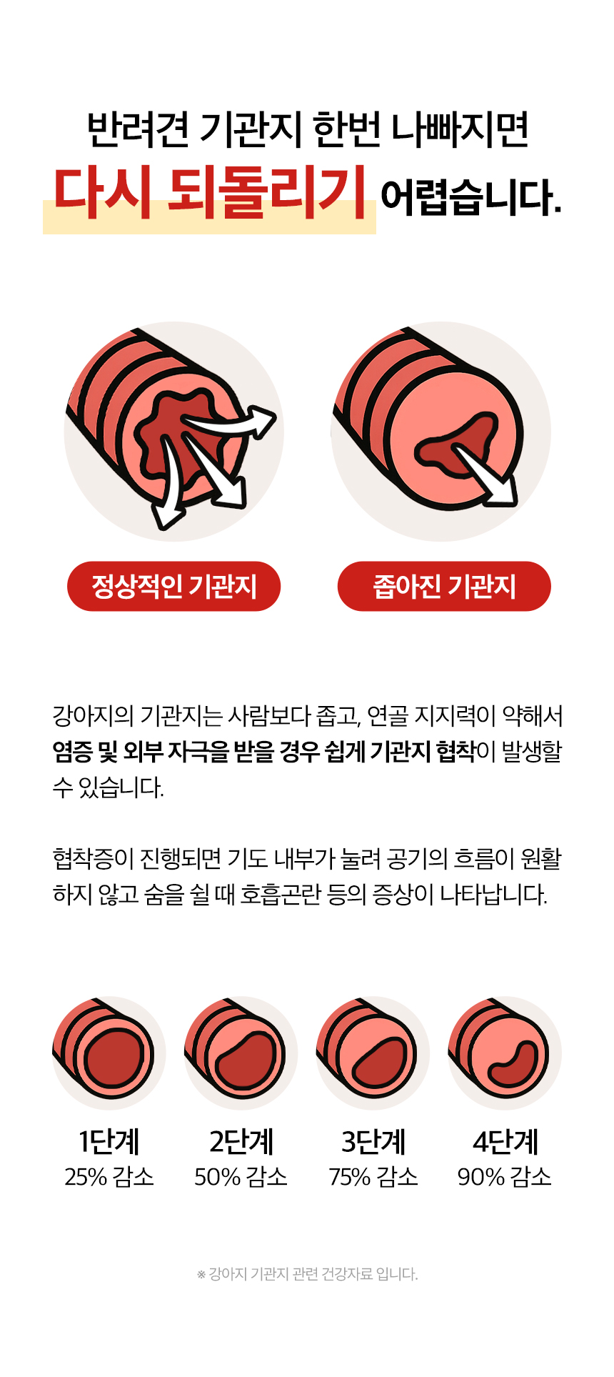 [무료배송] 목우촌 펫9단 독 브레스 기관지 영양제 100g 4번째