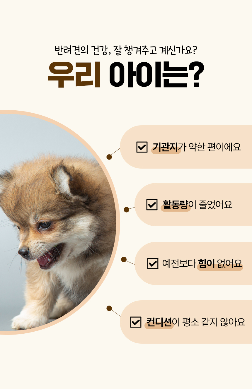 [NEW신상][무료배송] 목우촌 펫9단 독 브레스 기관지 영양제 100g 4번째