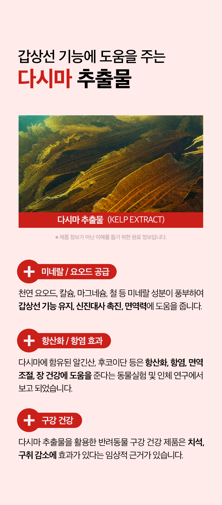 [무료배송] 목우촌 펫9단 독 브레스 기관지 영양제 100g 7번째
