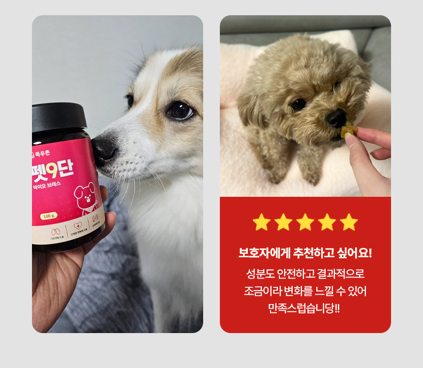 [NEW신상][무료배송] 목우촌 펫9단 독 브레스 기관지 영양제 100g 6번째
