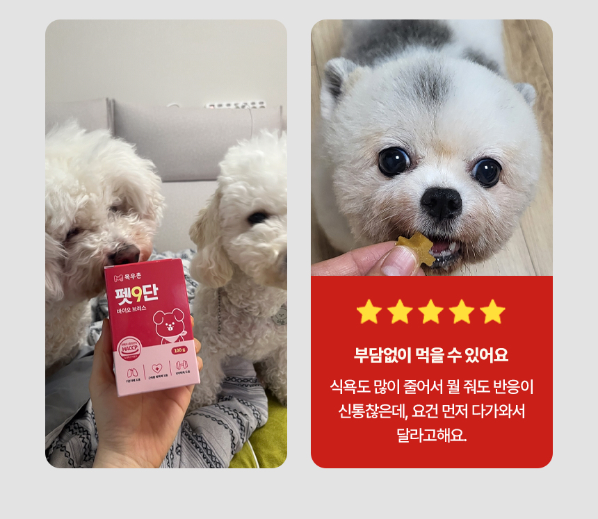 [NEW신상][무료배송] 목우촌 펫9단 독 브레스 기관지 영양제 100g 7번째