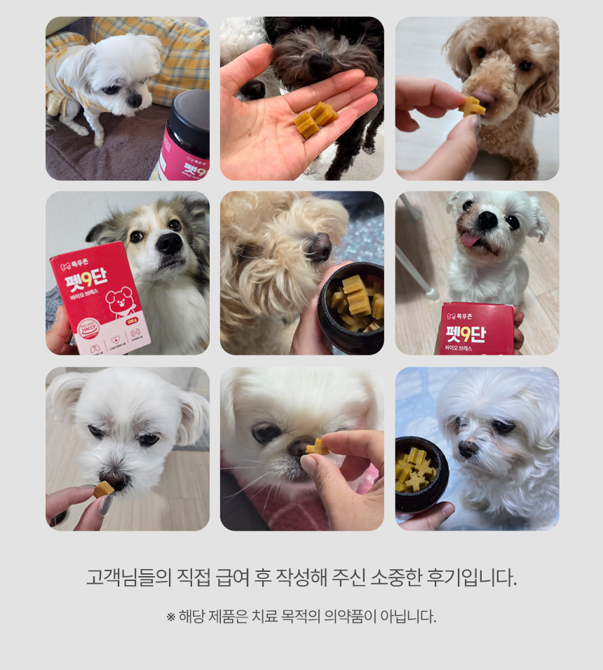 [NEW신상][무료배송] 목우촌 펫9단 독 브레스 기관지 영양제 100g 9번째