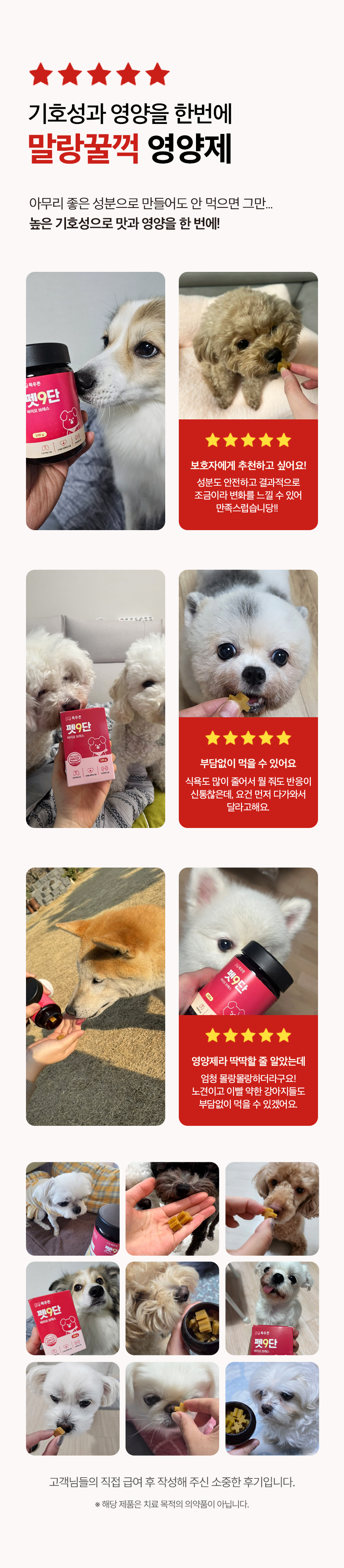 [무료배송] 목우촌 펫9단 독 브레스 기관지 영양제 100g 13번째