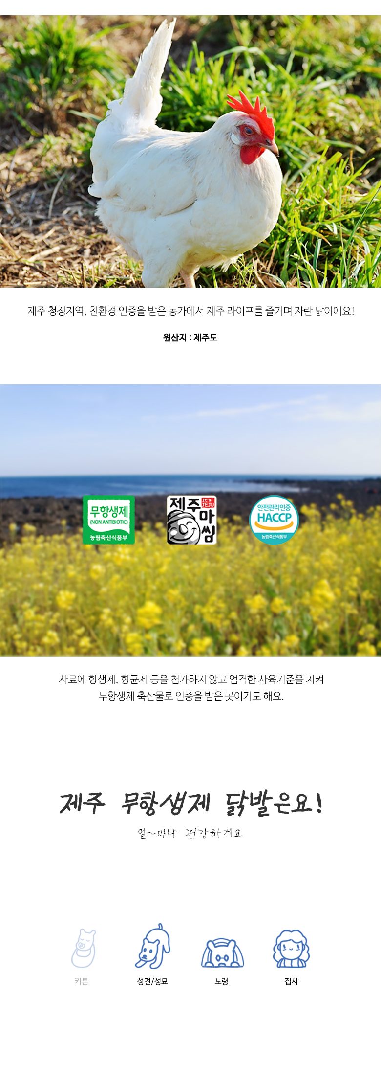 [무료배송] 어글어글 독 VALUE PACK 제주 청정 통닭발 6p*5개입 2번째