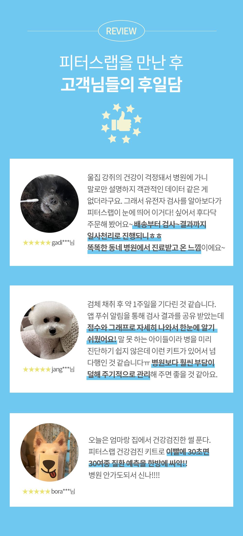 [체험단][무료배송] 피터스랩 독 전신질환 검사 키트  12번째