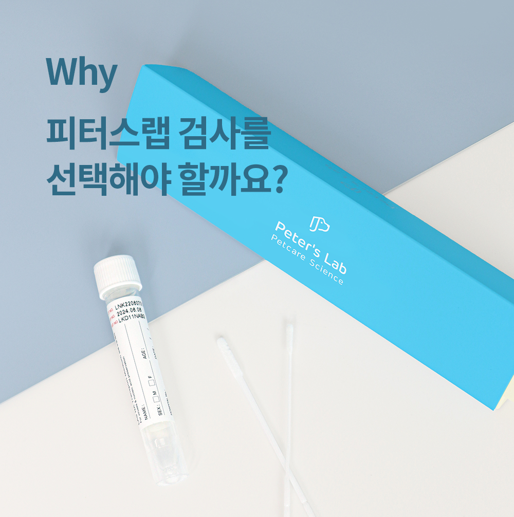 [체험단][무료배송] 피터스랩 독 전신질환 검사 키트  13번째