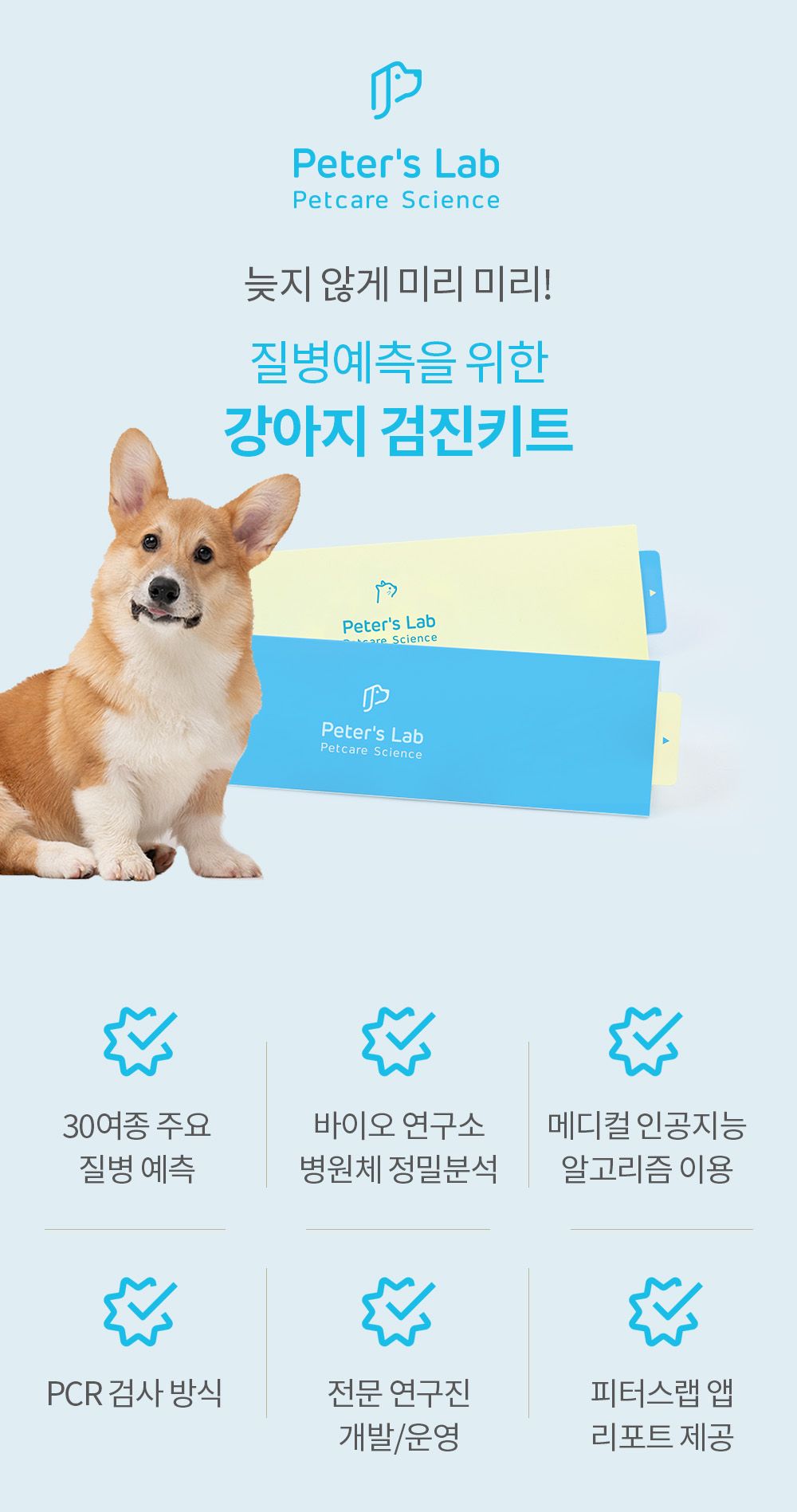 [체험단][무료배송] 피터스랩 독 전신질환 검사 키트  5번째