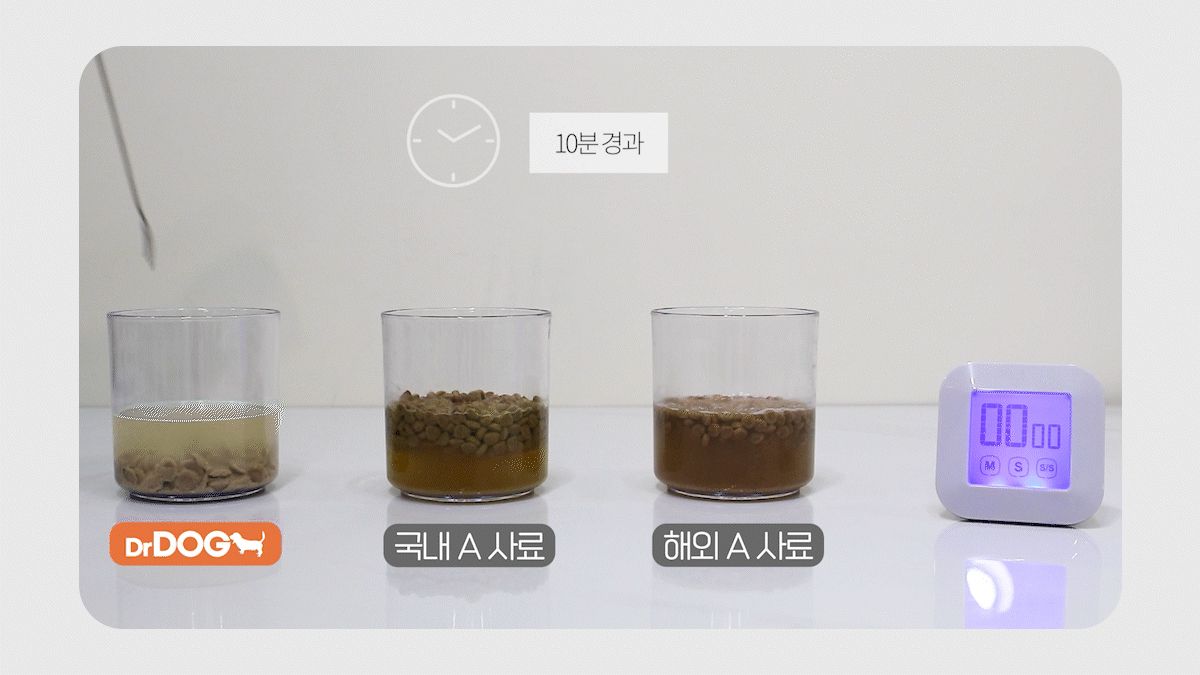 닥터독 매일영양 사료 2kg 8번째