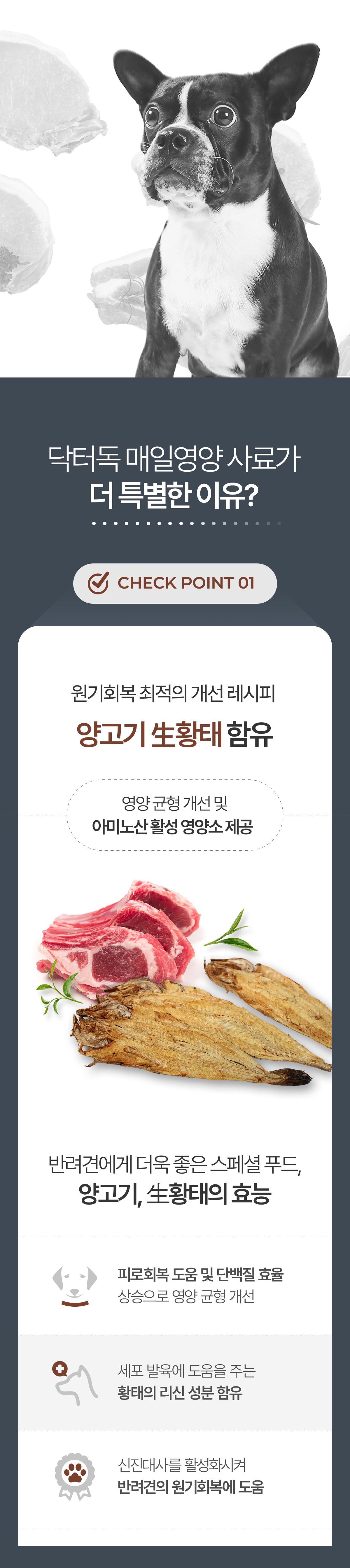 닥터독 매일영양 사료 2kg 17번째