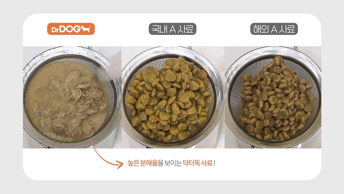 닥터독 매일영양 사료 2kg 9번째