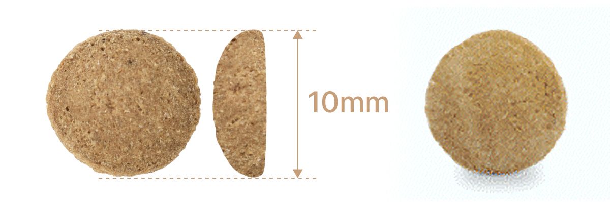 닥터독 매일영양 사료 2kg 12번째