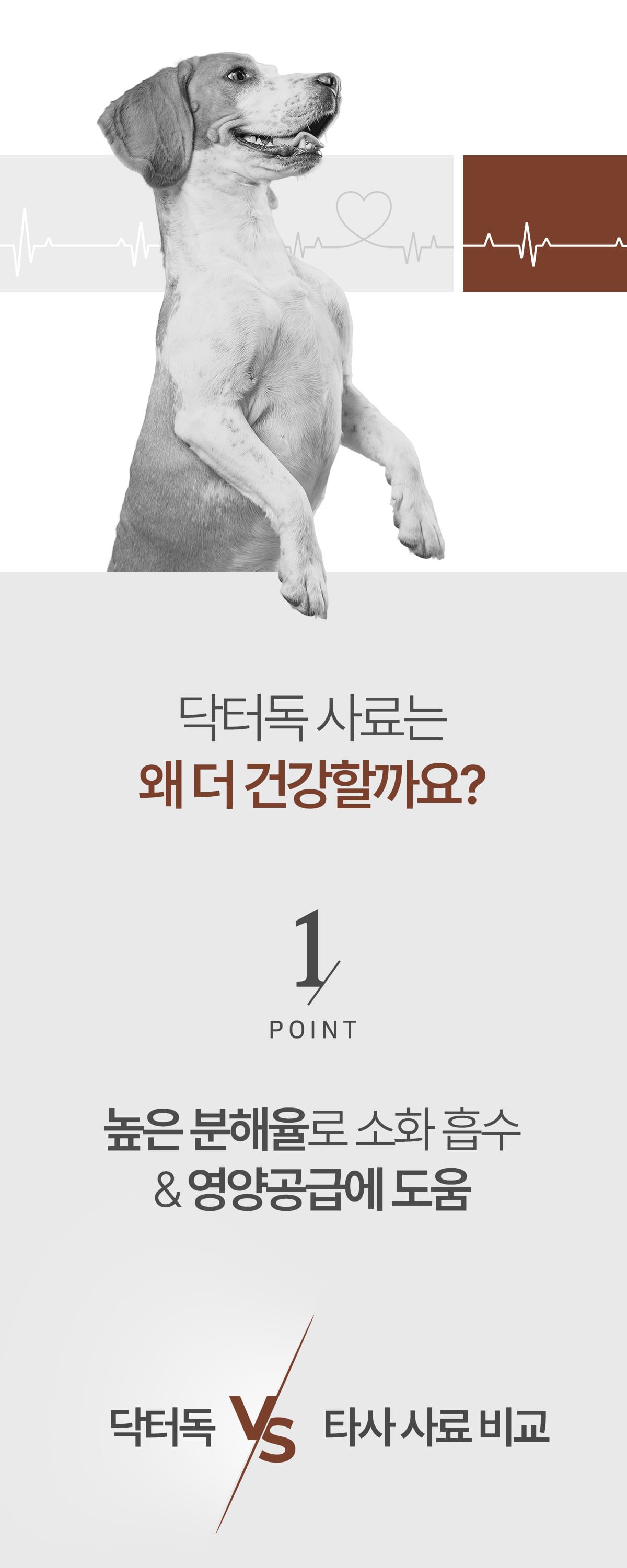 닥터독 매일영양 사료 2kg 7번째