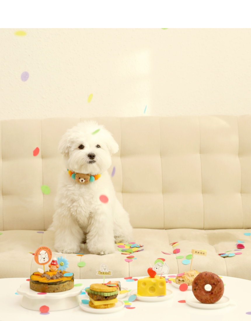 [무료배송] 뽀뽀제과 독 수제간식 생일파티세트A 16번째