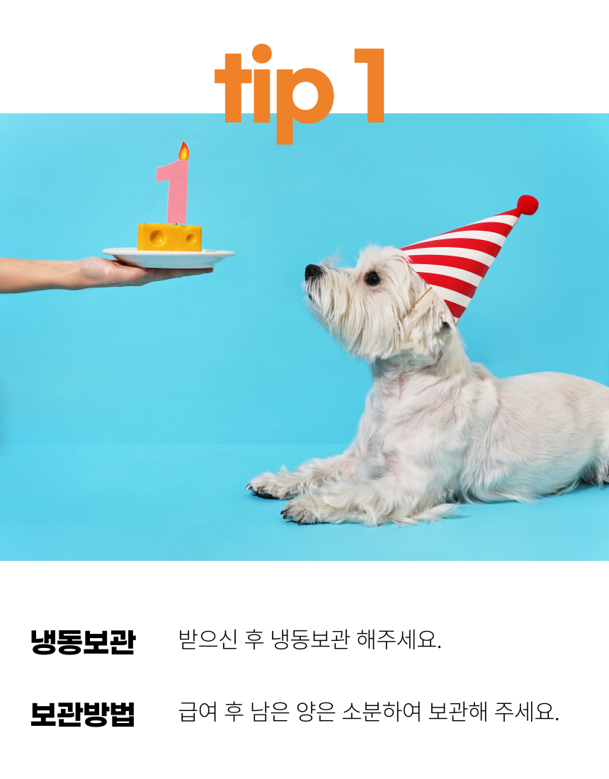 [무료배송] 뽀뽀제과 독 수제간식 생일파티세트A 9번째