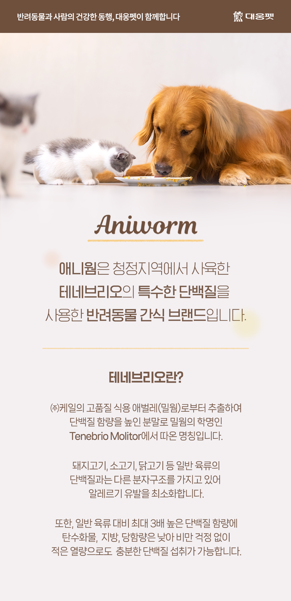 [창고대방출] 애니웜 독 큰곰스틱 고구마맛 7p 1번째