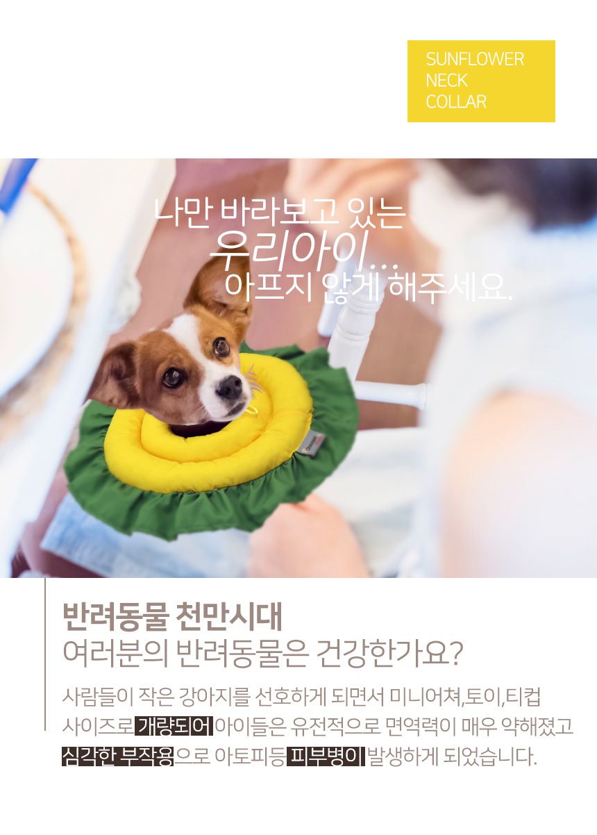 [무료배송] 초코펫하우스 해바라기카라 S-L 1번째