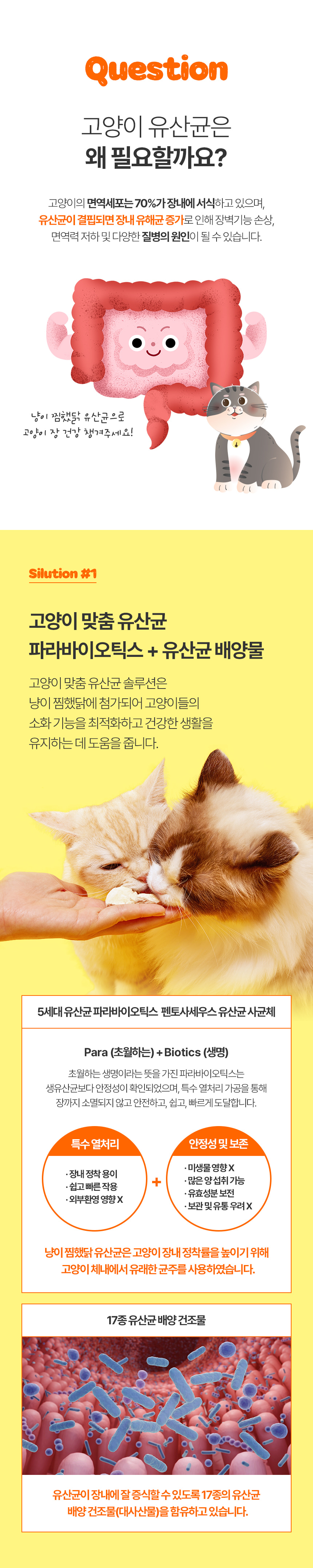 [NEW신상][무료배송] 베이펫 냥이찜했닭 닭가슴살 동결건조 간식 35g 2번째